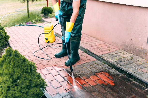 Best Roof Cleaning and Mildew Removal in Briarcliff, TX